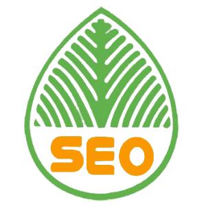 德阳提升网站移动适配的注意事项